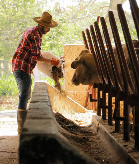 single-img-farmer